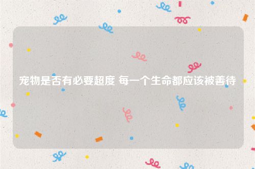 宠物是否有必要超度 每一个生命都应该被善待