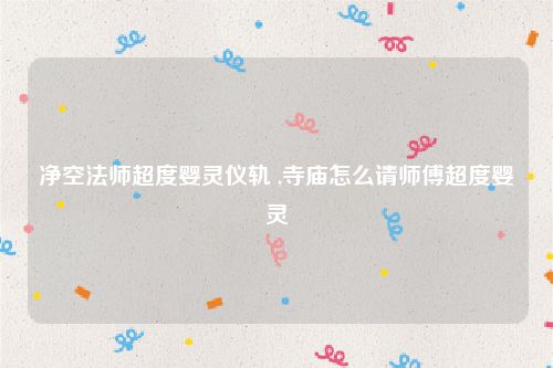 净空法师超度婴灵仪轨 ,寺庙怎么请师傅超度婴灵