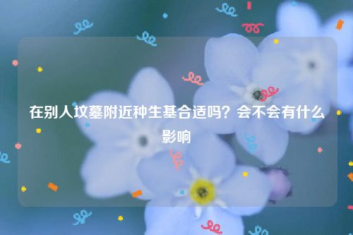 在别人坟墓附近种生基合适吗？会不会有什么影响
