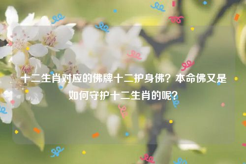 十二生肖对应的佛牌十二护身佛？本命佛又是如何守护十二生肖的呢？