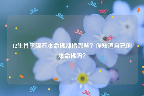 12生肖黑曜石本命佛都指哪些？你知道自己的本命佛吗？