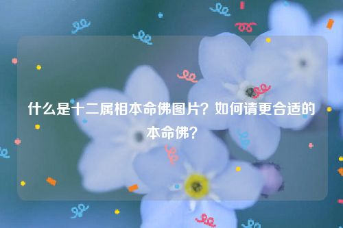 什么是十二属相本命佛图片？如何请更合适的本命佛？