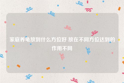 家庭养龟放到什么方位好 放在不同方位达到的作用不同