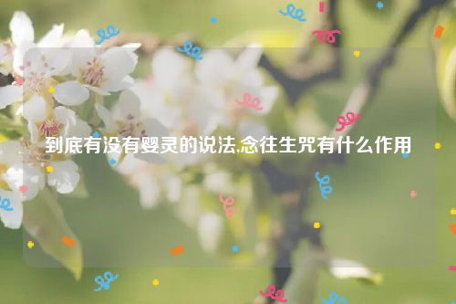 到底有没有婴灵的说法,念往生咒有什么作用