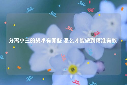 分离小三的战术有哪些 怎么才能做到精准有效    