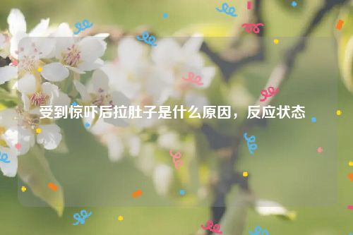 受到惊吓后拉肚子是什么原因，反应状态  