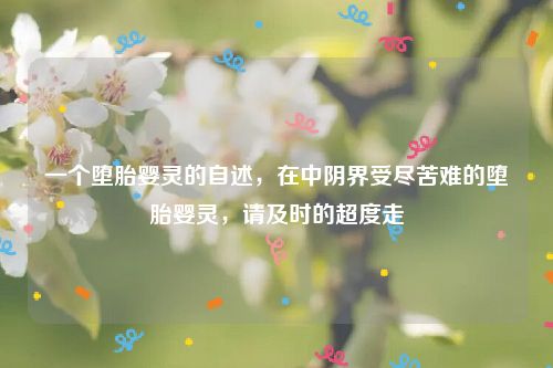 一个堕胎婴灵的自述，在中阴界受尽苦难的堕胎婴灵，请及时的超度走