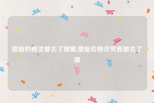 堕胎的婴灵都去了哪里,堕胎后婴灵究竟都去了哪