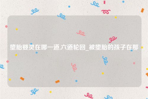 堕胎婴灵在哪一道,六道轮回_被堕胎的孩子在那