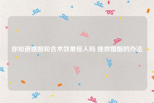 你知道婚姻和合术效果惊人吗 挽救婚姻的办法