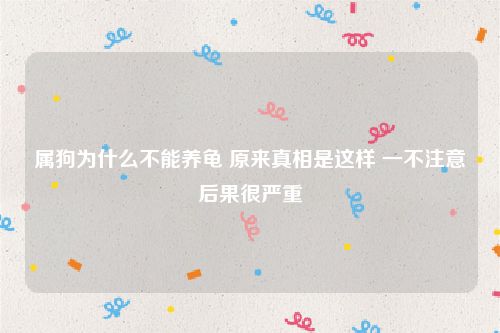 属狗为什么不能养龟 原来真相是这样 一不注意后果很严重